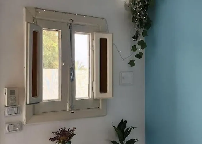 The Oasis Entire House *